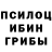 Псилоцибиновые грибы прущие грибы gonsrighthand