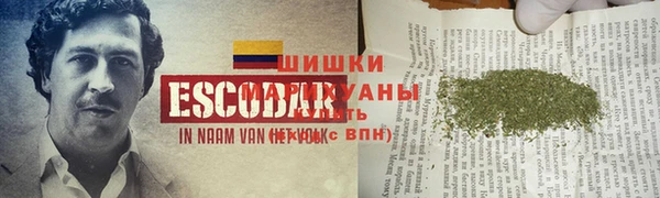 СК Беломорск