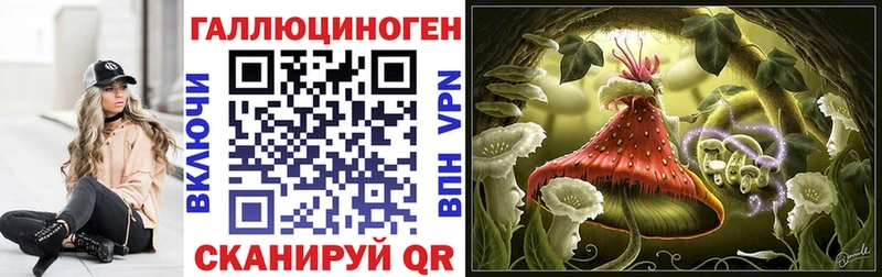 Псилоцибиновые грибы мицелий  Тара 